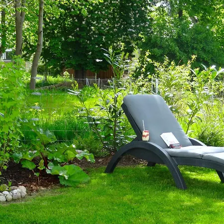 Foresta * Göhren-Lebbin