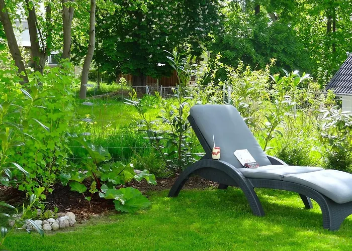 Foresta * Göhren-Lebbin